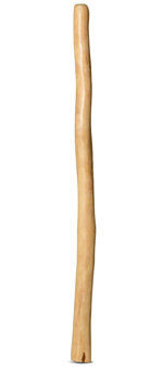 Natural Finish Didgeridoo (TW834)